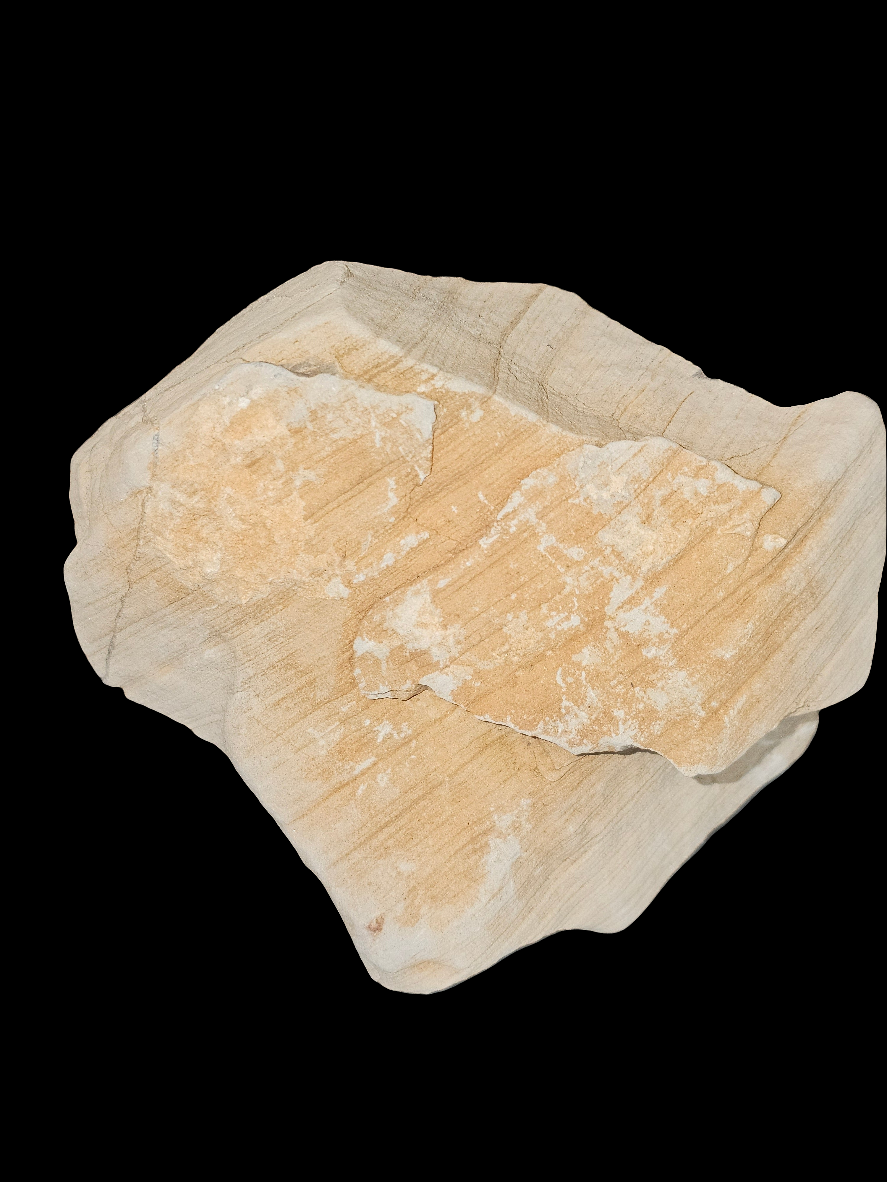 Fossil of Secrets | CRSTL&CO™ One of One Desert Sacred Stone Relic