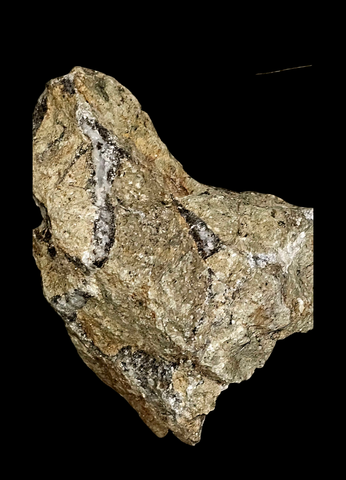 Stone Of The Removed | CRSTL&CO™ One of One Relic Desert Stone