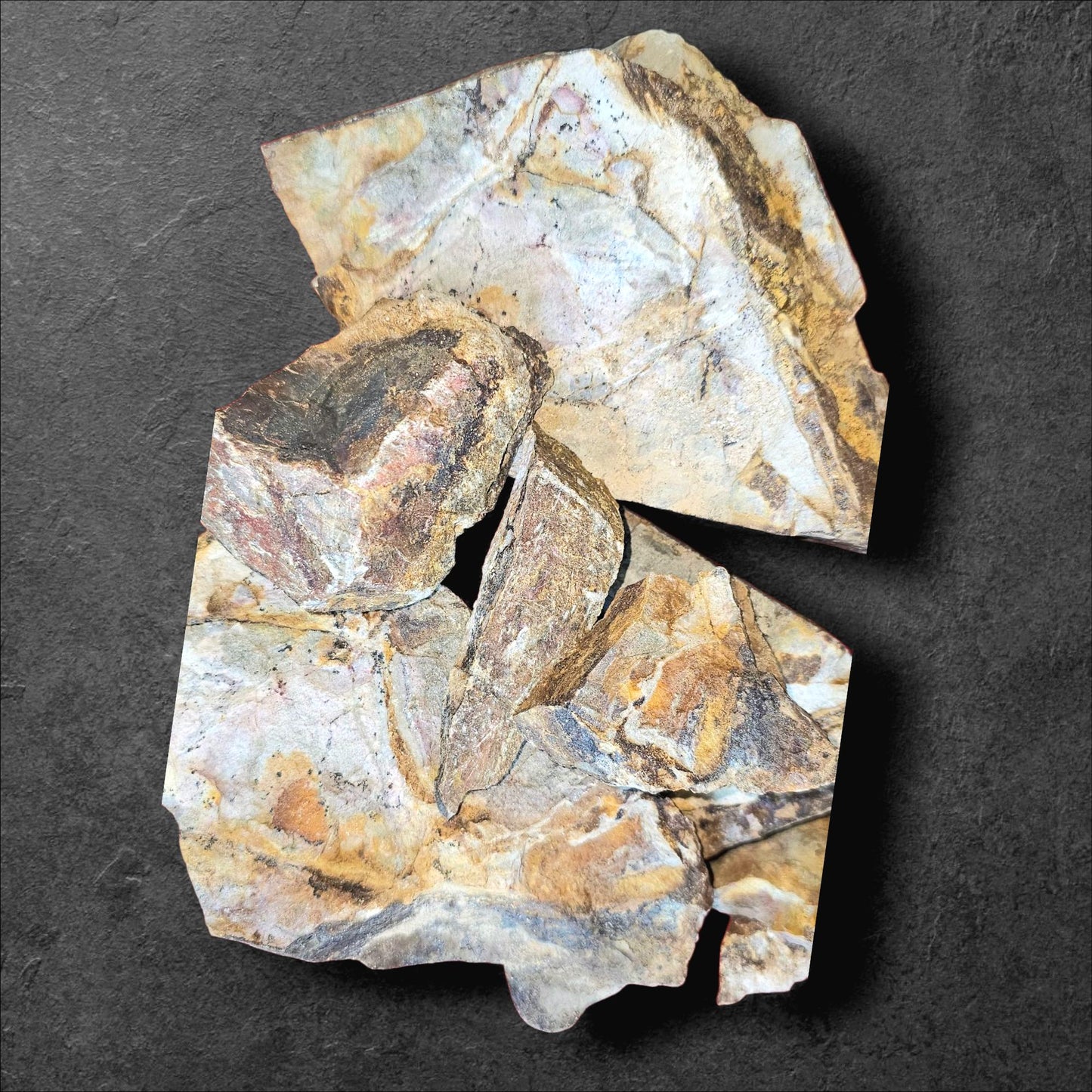 The Forgotten Stone | CRSTL&CO™