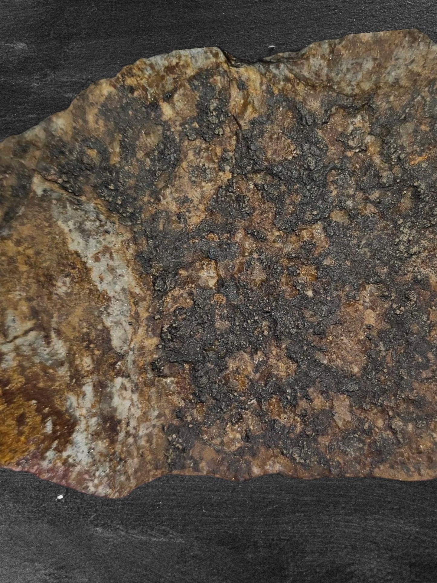 The Unwritten™  | CRSTLandCO One of One Sacred Stone Relic Desert Stone