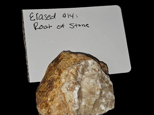 Erased 014 - Root of Stone | Ancient Grounding Crystal | Raw Desert Relic CRSTL&CO™️
