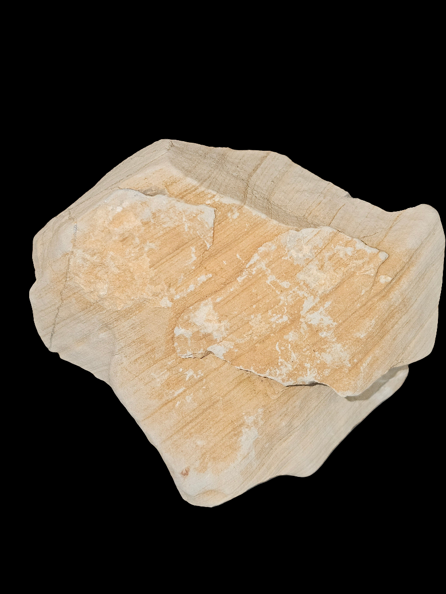 Fossil of Secrets | CRSTL&CO™ One of One Desert Sacred Stone Relic