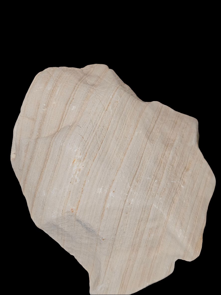 Fossil of Secrets | CRSTL&CO™ One of One Desert Sacred Stone Relic