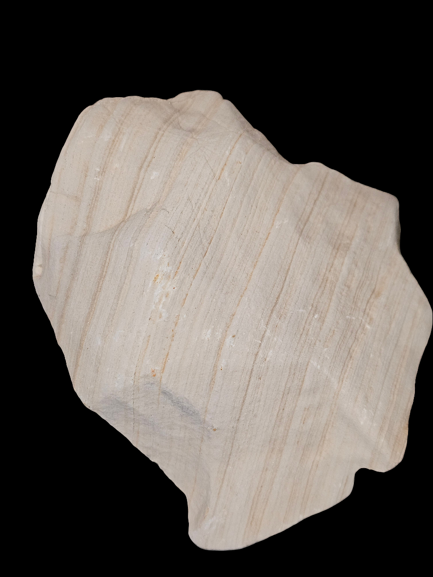 Fossil of Secrets | CRSTL&CO™ One of One Desert Sacred Stone Relic