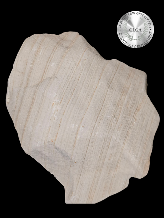 Fossil of Secrets | CRSTL&CO™ One of One Desert Sacred Stone Relic