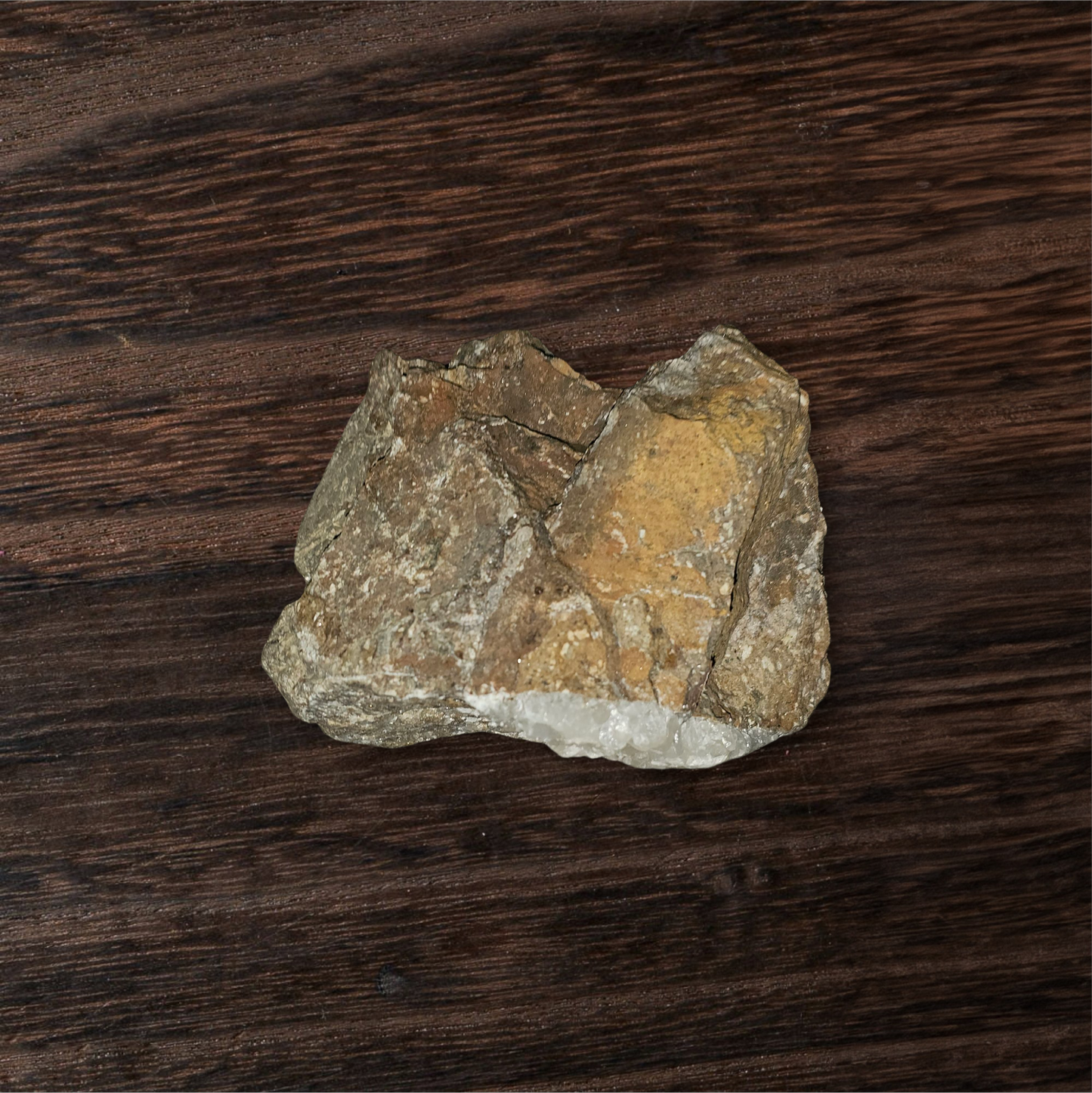 Raw Quartz Vein Stone – Natural Crystal in Host Rock, Rough Healing Mineral Specimen | CRSTL&CO™️