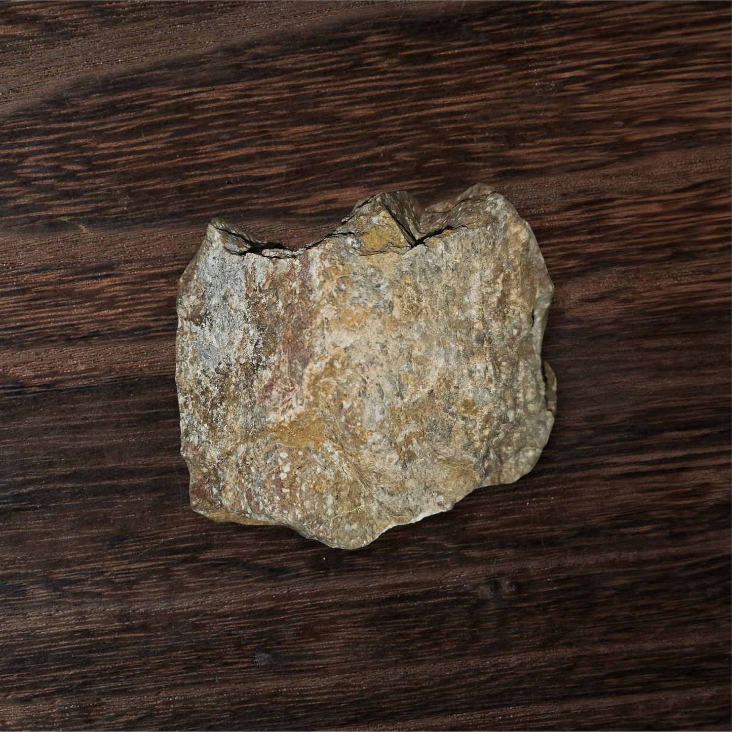 Raw Quartz Vein Stone – Natural Crystal in Host Rock, Rough Healing Mineral Specimen | CRSTL&CO™️